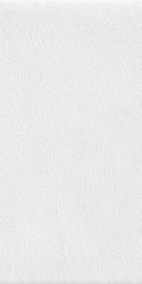 SARDINIA BIANCO PLAYA20X40