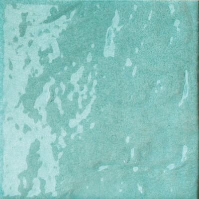 TRASP.GIADA(V.SCURO) 10X10