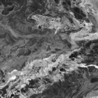 FLUID BLACK PULIDO