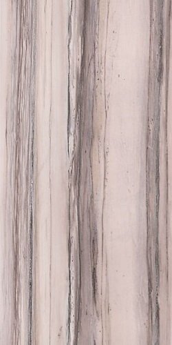 POLICROMA VALTOCE MAT 6MM 60x120 RET