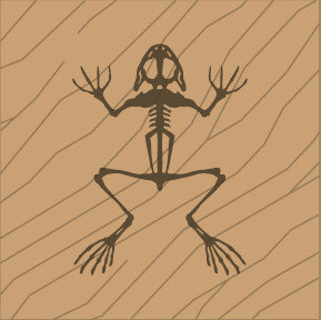 Frog Laser Naturale (Q)