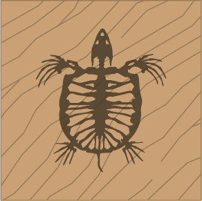 Turtle Laser Naturale (Q)