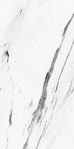 STATUARIO PLUS/60X120/EP