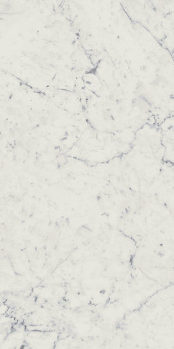 Charme Extra Carrara Ret 60x120